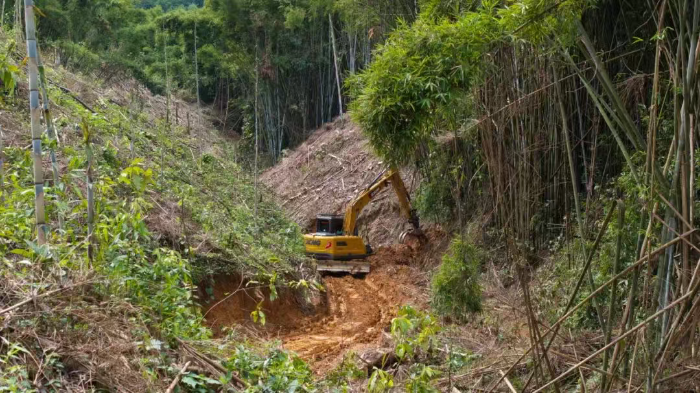 林間“藏龍”，竹?！芭P虎”——徐工林業(yè)挖機(jī)廣西俠客行
